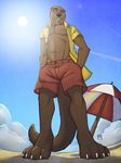  beach clothed clothing male mammal mustelid otter perspective seaside tsaiwolf 