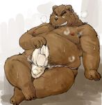  anthro bear bulge chubby clothing fur grizzly_bear humanoid kotobuki loincloth male mammal nipples nude overweight penis penis_outline solo sweat 