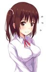  blush breasts brown_eyes brown_hair collared_shirt ebina_nana flying_sweatdrops highres himouto!_umaru-chan itachi_kanade large_breasts looking_at_viewer scrunchie shirt simple_background solo two_side_up upper_body wavy_mouth white_background white_shirt 