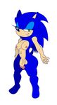  anthro areola big_breasts breasts damian_hodge dickgirl flaccid girly hedgehog intersex mammal nipples nude penis solo sonic_(series) sonic_the_hedgehog wide_hips 