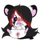  feral hampire hamster hamtaro mammal open_mouth open_pussy pussy rodent sex small tiny wet 