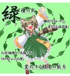  animal_ears brown_eyes brown_hair face leaf original raccoon_ears raccoon_tail roku_(touhou) short_hair solo tail touhou translated viva!! 