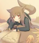  animal_ears book brown_hair flower holo jewelry liki long_hair lying necklace on_side red_eyes solo spice_and_wolf tail wolf_ears 