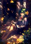  alternate_costume barefoot book dappled_sunlight feet frog full_body green_eyes green_hair hair_ornament hands kishiyo kochiya_sanae leaf light_smile long_hair maple_leaf open_book school_uniform shade sitting snake solo sunlight touhou 