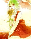  flower green_hair kazami_yuuka plaid plaid_skirt plaid_vest red_eyes six_(fnrptal1010) skirt smile solo sunflower touhou umbrella vest 