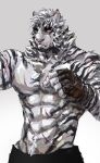  1boy abs animal_ears arknights ashu_monster bara clenched_hands english_commentary fingerless_gloves furry furry_male gloves male_focus mountain_(arknights) multiple_scars muscular muscular_male pectorals scar scar_across_eye scar_on_arm scar_on_face signature tiger_boy tiger_ears tiger_stripes topless_male 