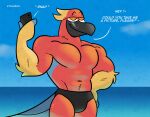 absurd_res anthro avian bird clothing delroy_(migration) eyewear hi_res male migration_(movie) outside parrot solo speedo sunglasses swimwear tadaoardo