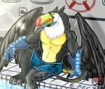 anthro avian beak bird clothing feather_ear feathers gryphon male muscular mythological_avian mythology paws pool smile solo summer sun_glare swimming_pool swimwear tail talon_hands toucan wings yamatopawa