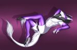 anthro arm_warmers armwear clothing digital_media_(artwork) hi_res latex latex_arm_warmers latex_armwear latex_clothing latex_leg_warmers latex_legwear legwear lying male mostly_nude mr_jager on_back sergal solo tail vesper_(vaporstrike)