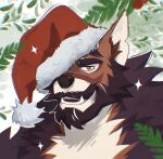  1boy abs bara beard brown_fur brown_hair christmas dog_boy drawreshi facial_hair full_beard furry furry_male hat hat_over_one_eye highres huge_eyebrows large_pectorals looking_at_viewer male_focus mature_male muscular muscular_male navel_hair neck_fur nipples original pectorals portrait resh_(drawreshi) santa_hat short_hair solo stomach thick_beard thick_mustache tusks 