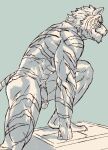 anthro felid flaccid fur genitals inubikko male mammal muscular muscular_male nude pantherine penis pubes simple_background solo stripes tail tiger