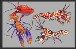 aevris ambiguous_gender antennae_(anatomy) arthropod crustacean exoskeleton feral grey_background orange_body orange_exoskeleton pincers pistol_shrimp red_body red_exoskeleton shrimp simple_background