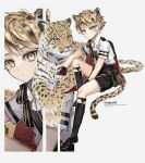  1boy animal animal_ears blonde_hair cape collared_shirt highres ichimishiyu invisible_chair legwear_garter leopard leopard_boy leopard_ears leopard_tail loafers looking_at_viewer male_focus neck_ribbon original ribbon sash shirt shoes short_hair short_sleeves shorts sitting socks solo spotted_hair tail wrist_cuffs yellow_eyes zoom_layer 