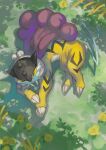  closed_eyes commentary_request from_above highres lying no_humans on_grass on_side pokemon pokemon_(creature) pokemon_sleep purple_hair raikou ranmaruuuu00 sleeping tail yellow_fur 