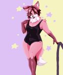 anthro canid canine clothing female fox hi_res luite mammal solo swimwear