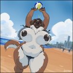 absurd_res anthro ball beach big_breasts bikini bikini_bottom bouncing_breasts breasts canid canine canis clothed clothing day domestic_dog female floppy_ears front_view greasymojo hair hair_over_eyes hi_res huge_breasts mammal mastiff mollie_(jezzlen) molosser muffin_top neck_tuft seaside short_hair sky solo swimwear thick_thighs topless tuft volleyball_(ball) voluptuous_anthro voluptuous_female wardrobe_malfunction wide_hips