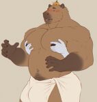 5_fingers anthro belly blush brown_body brown_fur brown_markings bulge capybara caviid claws fingers fur low_res male mammal markings musclegut muscular muscular_anthro muscular_male nipples pecs pubes rodent slightly_chubby small_ears solo towel unknown_artist
