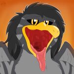 accipitrid accipitriform avian beak bird black_hair eagle hair hi_res invalid_tag mouth_shot open_mouth throat tongue