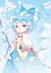  blue_eyes blue_hair bow cirno domotolain flower hair_bow highres short_hair solo touhou wings 