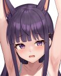  1girl animal_ear_fluff animal_ears armpits arms_up bare_arms blunt_bangs blush collarbone commission dog_ears dog_girl embarrassed extra_ears kasumi_(princess_connect!) long_hair open_mouth portrait princess_connect! purple_eyes purple_hair px-tea sidelocks skeb_commission solo straight_hair 