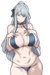  1girl ak-12_(girls&#039;_frontline) alternate_breast_size areola_slip bikini black_bikini braid breasts cleavage closed_mouth collarbone french_braid girls&#039;_frontline grey_hair highleg highleg_bikini highres large_breasts long_hair looking_at_viewer navel pink_eyes sidelocks simple_background smile solo stomach straight-on swimsuit unusually_open_eyes wessidesuyo white_background 