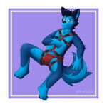 1:1 3_toes absurd_res anthro bedroom_eyes biped black_ears black_nose black_pawpads blue_body blue_fur blue_inner_ear blue_tail broitscody canid canine canis clothing feet fur grey_eyes hand_on_chest harness hi_res inner_ear_fluff jockstrap looking_at_viewer male mammal multi_tone_fur narrowed_eyes pawpads seductive solo tail toes tuft two_tone_tail underwear watermark wolf