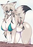 absurd_res ahoge all_fours alternate_species anthro anthrofied areola bent_over big_breasts big_butt bikini black_hair black_highlights blue_eyes blush breasts butt canid clothing female fur furrification hair hi_res highlights_(coloring) huge_breasts human_to_anthro kemono looking_at_viewer mammal multicolored_body multicolored_fur multicolored_hair open_mouth solo species_transformation swimwear tail tailzkim tan_body tan_fur tan_hair thick_thighs transformation unknown_character white_body white_fur 