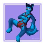  1:1 3_toes absurd_res anthro bedroom_eyes biped black_ears black_nose black_pawpads blue_body blue_fur blue_inner_ear blue_tail blush blush_lines broitscody canid canine canis clothing feet fur grey_eyes hand_on_chest harness hi_res inner_ear_fluff jockstrap looking_at_viewer male mammal multi_tone_fur narrowed_eyes pawpads seductive simple_background solo tail toes tuft two_tone_tail underwear watermark wolf 