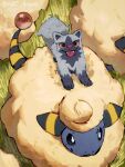  animal_focus arc_draws black_eyes bright_pupils day fangs from_above grass highres looking_at_viewer mareep no_humans outdoors pokemon pokemon_(creature) poochyena tongue twitter_username white_pupils 