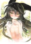  animal_ears black_hair blush breasts char highres long_hair looking_at_viewer navel necro-san original parted_lips shirt_lift small_breasts solo underboob yellow_eyes 