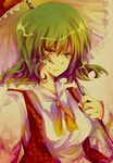  bad_id bad_pixiv_id green_hair kazami_yuuka parasol plaid plaid_vest purple_eyes rarami smile solo touhou umbrella upper_body vest 