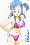  bikini bulma dragon_ball dragonball green_hair smile swimsuit worson2009 