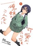  aragaki_ayase itou_ryuusei long_hair ore_no_imouto_ga_konna_ni_kawaii_wake_ga_nai school_uniform skirt skirt_lift solo 