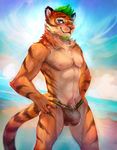  alexx_tiger anthro bulge cheetahpaws chest_tuft clothed clothing feline fur half-dressed male mammal nipples paws pecs swimsuit tiger topless tuft underwear 