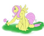  2012 anthro anthrofied blue_eyes breasts cutie_mark english_text equine feathers female flower fluttershy_(mlp) friendship_is_magic fur grass hair hooves long_hair mammal my_little_pony nightfaux nipples nude outside pegasus pink_fur pink_hair plant simple_background smile solo text white_background wings yellow_feathers yellow_fur yellow_skin 