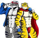  2015 abs anthro bearlovestiger13 biceps big_muscles black_nose blue_eyes brown_fur build_tiger cape claws clothed clothing duo erection fangs feline fur grey_fur grin half-dressed hand_holding male male/male mammal markings muscular muscular_male navel nipples orange_fur pecs pink_nose pose pubes shaded simple_background smile standing stripes teeth text thong tiger toned topless underwear white_background white_fur 