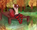  anthro autum canine chocoteenie clothed clothing dock fox legwear male mammal scarlet_svobodova sitting skirt socks sweater thigh_socks water 