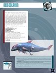  cetacean cybernetics cyborg dolphin eclipse_phase machine mammal marine posthuman_studios science_fiction 