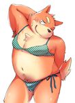  anthro belly bigger_version_at_the_source blush bulge canine chest_tuft chubby clothing diru11 dog fur kemono male mammal solo sweat swimsuit tuft 