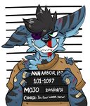  2015 anthro bandage beat_up big_ears black_fur black_nose black_stripes blood blue_fur bruised fatigue fur green_eyes hair hybrid lombax male mammal mojo mugshot paws ratchet_and_clank short_hair skunk skunkbax solo stripes video_games wounded 