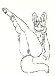 2015 bat-eared_fox breasts female foxene legs_up licking licking_lips nude pussy sketch solo tongue tongue_out 