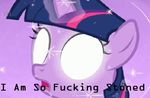  equine female friendship_is_magic hair horse mammal multicolored_hair my_little_pony open_mouth pony solo source_request tagme text twilight_sparkle_(mlp) unknown_artist what 