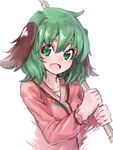  :d animal_ears blush broom deluxe&lt;&lt;&lt; dress fang green_eyes green_hair kasodani_kyouko long_sleeves looking_at_viewer open_mouth pink_dress short_hair simple_background smile solo touhou upper_body white_background 