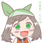  :3 :d blush chibi commentary_request dot_nose en_(y-s-chen8038) fang green_bandana green_eyes gyate_gyate haruka_(pokemon) highres open_mouth pokemon pokemon_(game) pokemon_emerald pokemon_rse smile solo translation_request v-shaped_eyebrows 