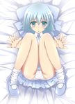  blue_eyes blue_hair blush bow cirno hair_bow legs lying natsume_riu panties short_hair solo touhou underwear white_panties 