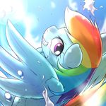  2015 absurd_res behind-space cute equine female feral friendship_is_magic hi_res mammal my_little_pony pegasus rainbow_dash_(mlp) solo wings 