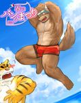  2014 abs anthro biceps blush boxer_briefs boxers_(clothing) bulge canine clothed clothing duo eyewear feline fur goggles green_eyes half-dressed jumping male male/male mammal muscular muscular_male open_mouth outside pecs saru_(artist) sea shorts smile stripes swimming swimsuit teeth text tiger underwear underwear_festival water wolf wolfs 