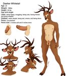  antlers balls cervine dasher_whitetail deer erection flaccid horn humanoid_penis male mammal model_sheet penis solo vilani 