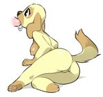  animal_crossing breasts canine dog fellatio female goldie_(animal_crossing) mammal nintendo oral pussy saltedtea sex video_games 