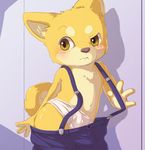  blush briefs brown_nose bulge canine clothed clothing cub dog half-dressed male mammal moketiw shiba_inu solo underwear undressing yellow_eyes young もけち 